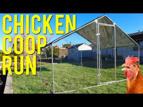 Metal Chicken Run