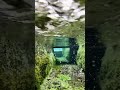 用水路にスマホ突っ込んだらえぐかった