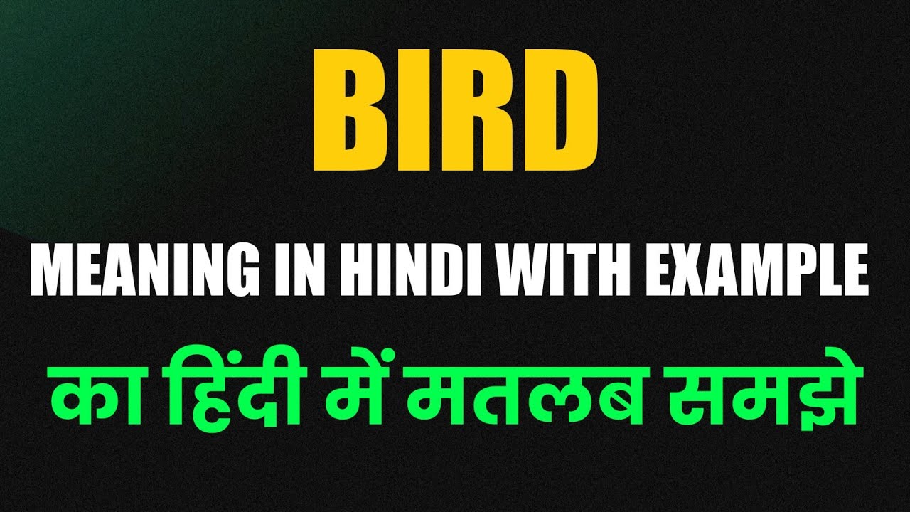 bird-meaning-in-hindi-bird-meaning-in-english-bird-ka-matlab-kya