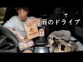 【生配信】月見バーガー最後の刺客。ゼッテリアをガチレビュー！！