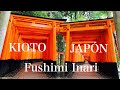 【Santuario Fushimi inari】Mejores lugares para visitar en Japón Kioto   &quot;Versión SENBON DORII&quot;