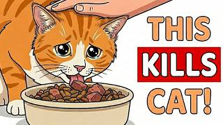 12 Deadly Cat Feeding Mistakes, Vets Warning About. (That Every Owner Still Makes)