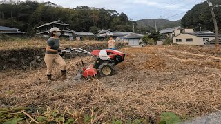 【古民家に住もう#128】ちょっと一息のんびり二毛作に挑戦。そらまめ畑を作る。