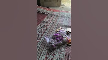 procedure text practice