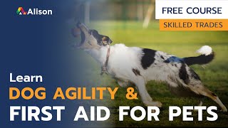 Introduction to Dog Agility and First Aid for Pets - Free Online Course