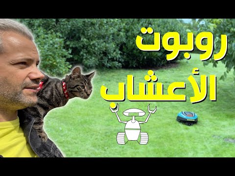 القط  نار و الطواحين الهولندية ...شفنا روبوت يقص الأعشاب    Garden ROBOT - Dutch Windmill
