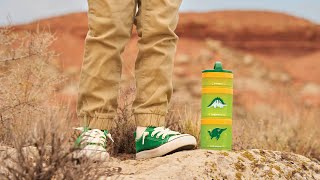 Dinosaur Snack Containers | Whiskware