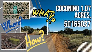 Coconino 1 07 Acres 50165037 Lots of Trees Deep in - 3887 E Lampe Ln Williams AZ 86046 USA