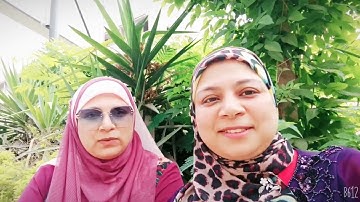 سورة البقرة الآيه رقم ٣٨فوائد قرءانيه ⭐ نحويه بلاغيه قراءات وقف وابتداء والمتشابهات والمعني والرسم