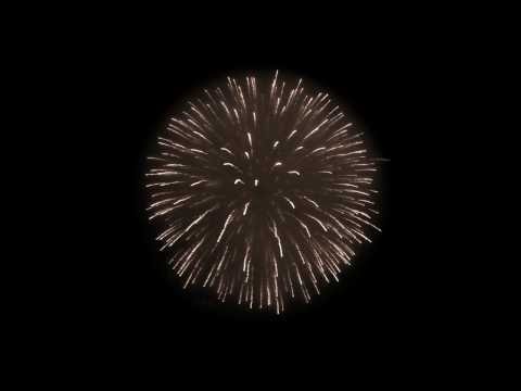 Omni Dimensional // Absolute Nothing [Ft. Joe Grimes]