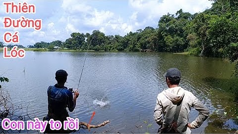 Câu cá lóc_Thăm lại bãi Thiên Đường sau một thời gian khô cạn @Hữunghị tv