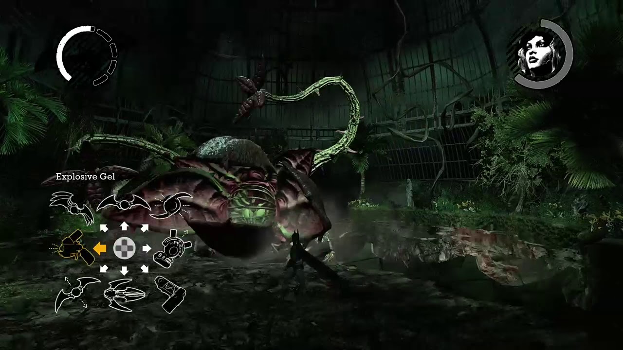 Batman Arkham Asylum Poison Ivy Fight