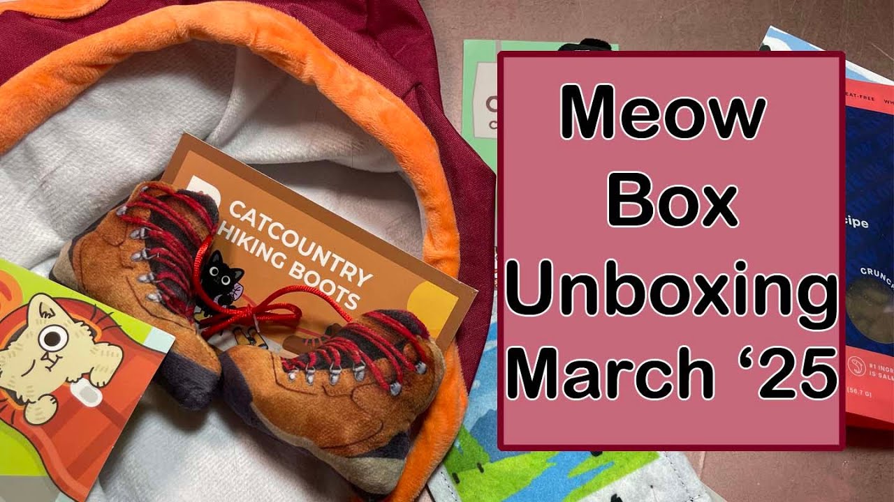 Meow Box Unboxing | March 2025 - YouTube
