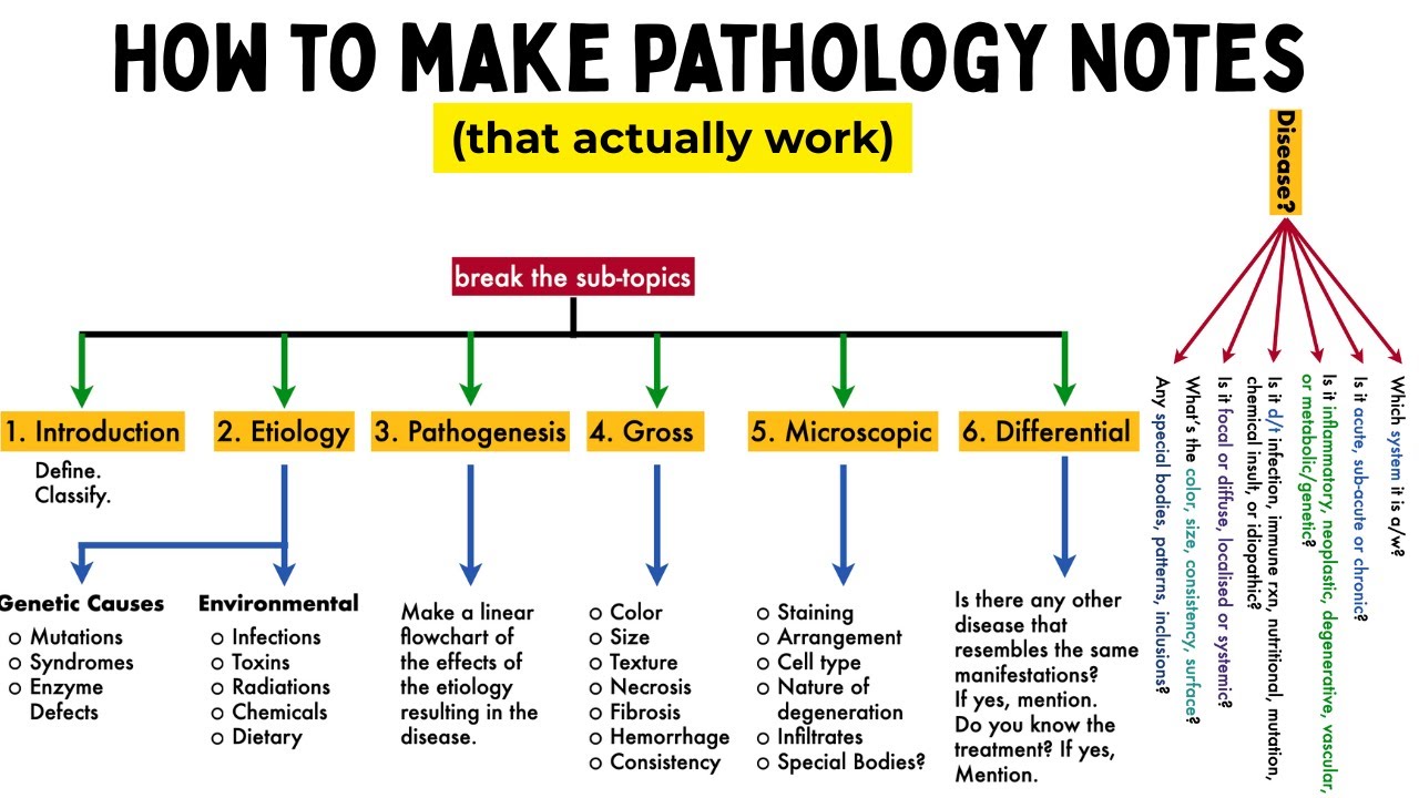 How I Make Pathology Notes that Actually Stick (Med Student Guide) | Rapid Hacks