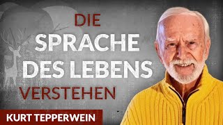 Der Weg zur inneren Freiheit: Wie die Schule des Lebens funktioniert  Kurt Tepperwein | Tobias Beck