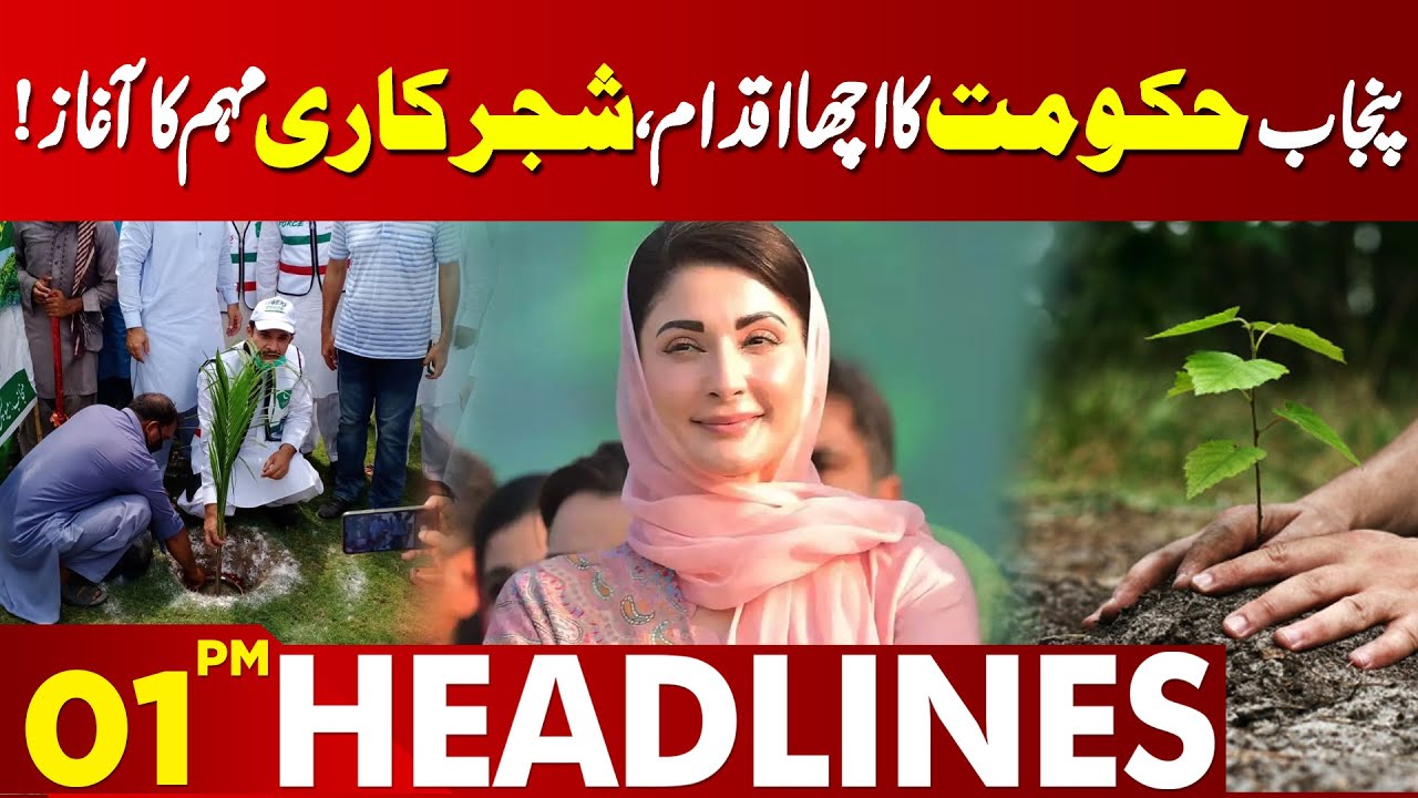 Punjab Government Launches Tree Plantation Campaign: A Step Towards Greenery | 01 PM Headlines