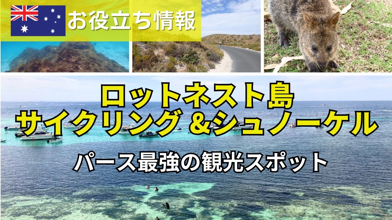 ロットネスト島】パース最強の観光スポットでシュノーケル