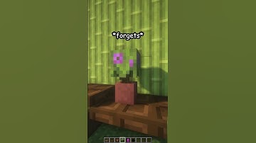 GEMAKKELIJKSTE MINECRAFT-PLANK