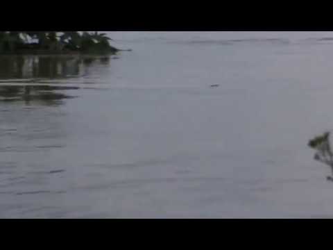 Jhelum River, highest flow rate ,P2