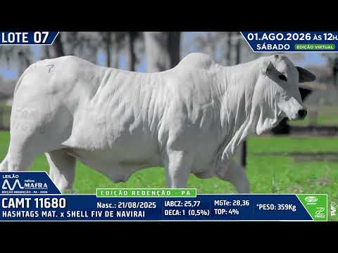 LOTE 7   CAMT 11680
