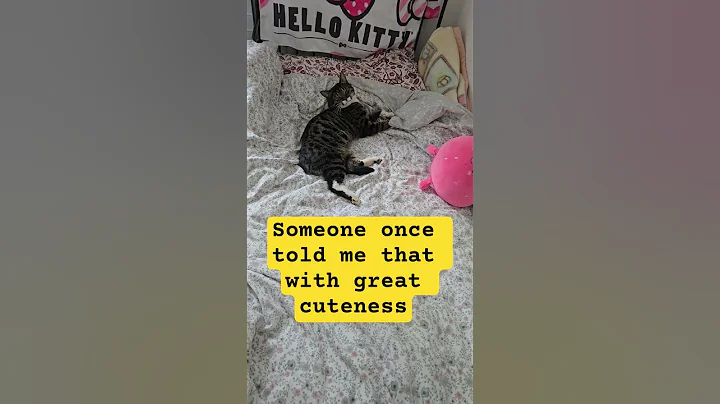 Video 10602341: catlover bengals bengalcat, bengalcat cats catlover, bengalcat funny catlover