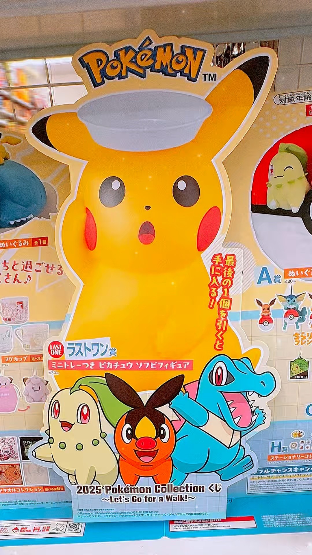 2025 Pokémon Collectionくじ🚶Let's Go for a Walk！に挑戦