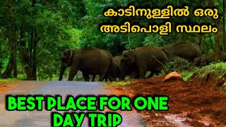 Best places for one day trip | Forest tour destination | Elephant sighting forest #elephant #forest