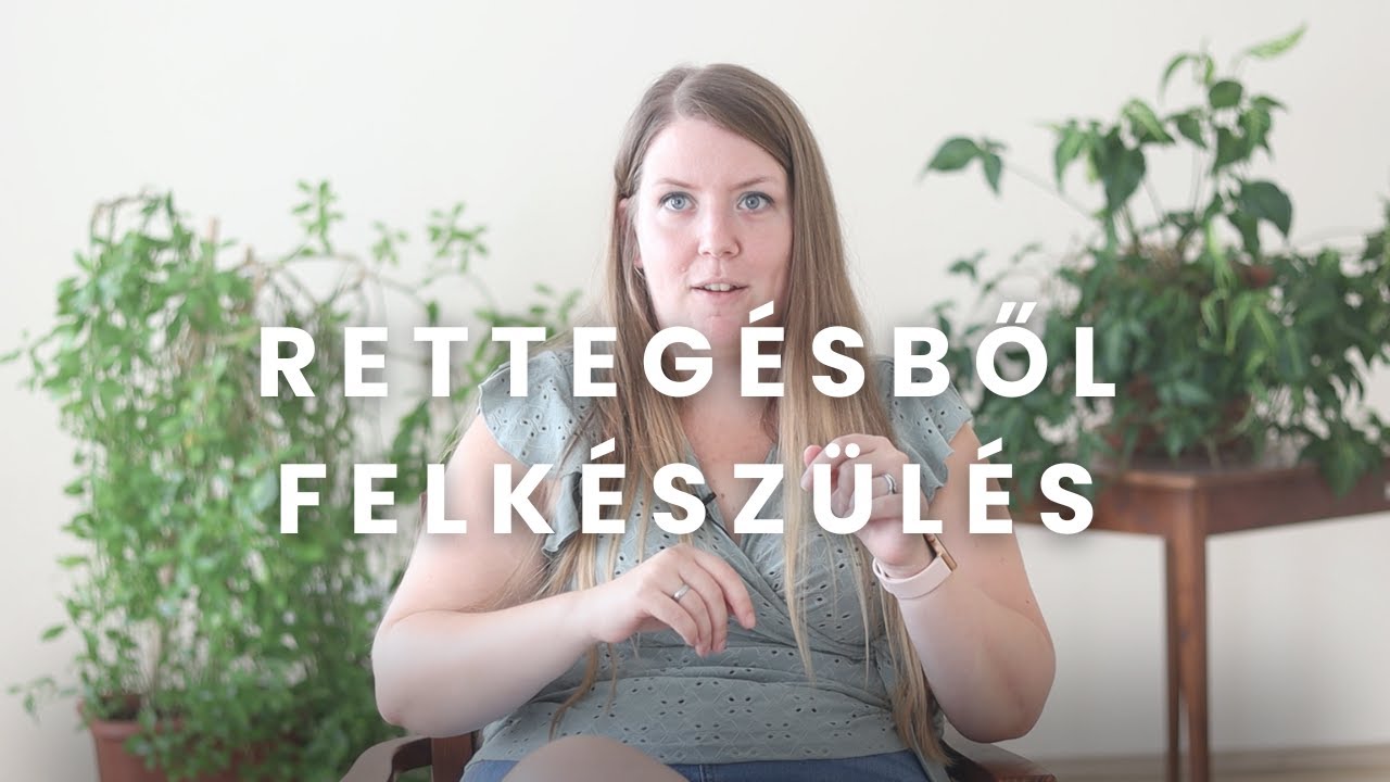 Hoztam e 263./Zsuzsi egy északnyugati kórház szülészeti osztályán