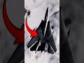 F-14 unique wing design