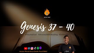 GENESIS Chapters 37 - 40 | Audio-Visual Bible
