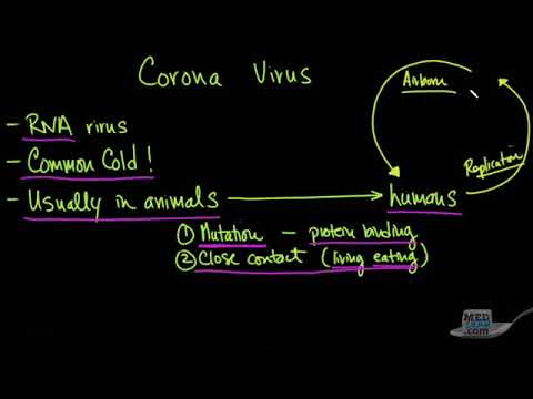 coronavirus-outbreak-transmission-&-updates-explained