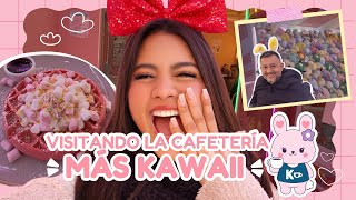 The cutest coffee shop in the world ✨🎀 Information