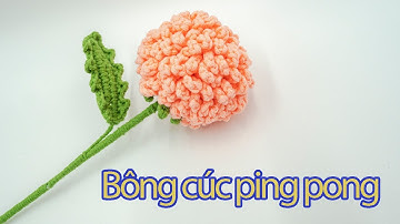 Hướng dẫn làm bông hoa cúc Ping Pong bằng len | Thuy Linh Decor