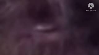 Maxwell Cat (EARRAPE)