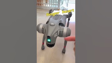 Quadruped robot Go2 test #AI #homerobot