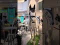 難波ロボット馬がリアル過ぎ😂