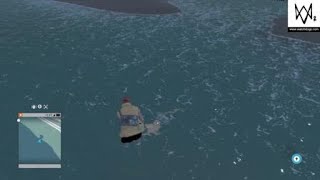 What Just Happened Lol