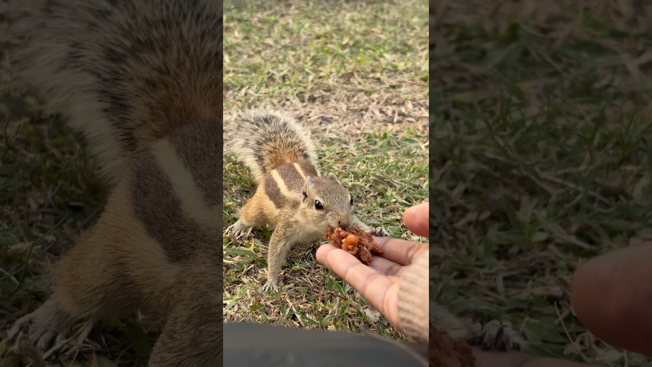 I made choco lava cake for the first time 🙈❤️| 