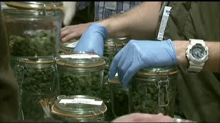 Marijuana moguls