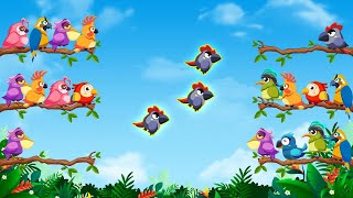 🦆 Bird Sort: Color Puzzle Game Bird sort color puzzle 🐥 30 Levels & Challenges Mobile Gameplay🐦 screenshot 4