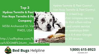 Top 3 Bed Bug Removal in Beverly Hills