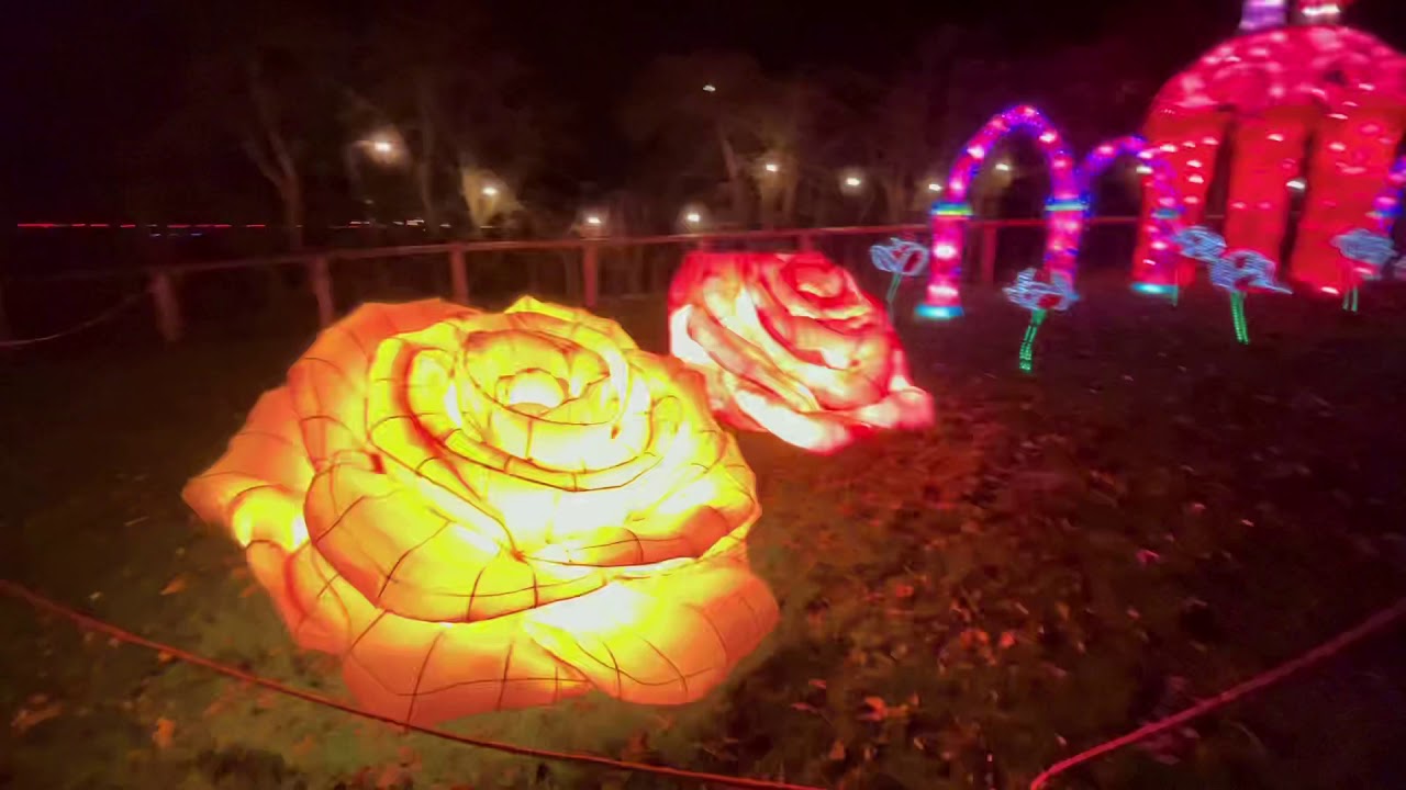 Yorkshire wildlife park, Christmas lights 2020 YouTube