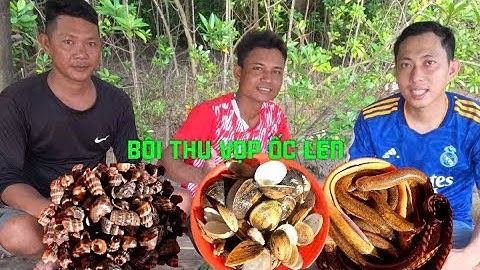 ĐI VÀO KHU RỪNG RẬM BỘI THU VỌP RỪNG, ỐC LEN ĐẶC SẢN RỪNG NGẬP MẶN// Dân Quê Cà Mau