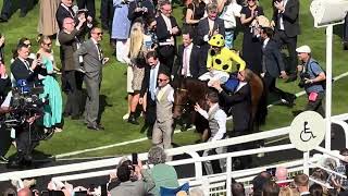 2,000 Guineas Festival winner 2026 Bow Echo