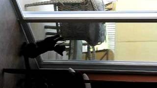 20110904.AVI