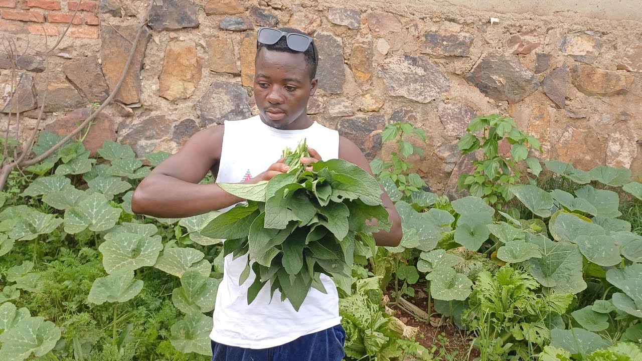 African village life Cooking delicious traditional vegetables and rice 