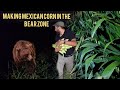 Cooking Mexican Corn in the Wild Forest Full of Bears 🌲🌽🐻