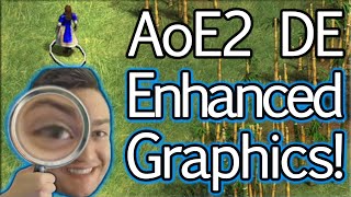 AoE2 DE Commentary with Enhanced Graphics! screenshot 5