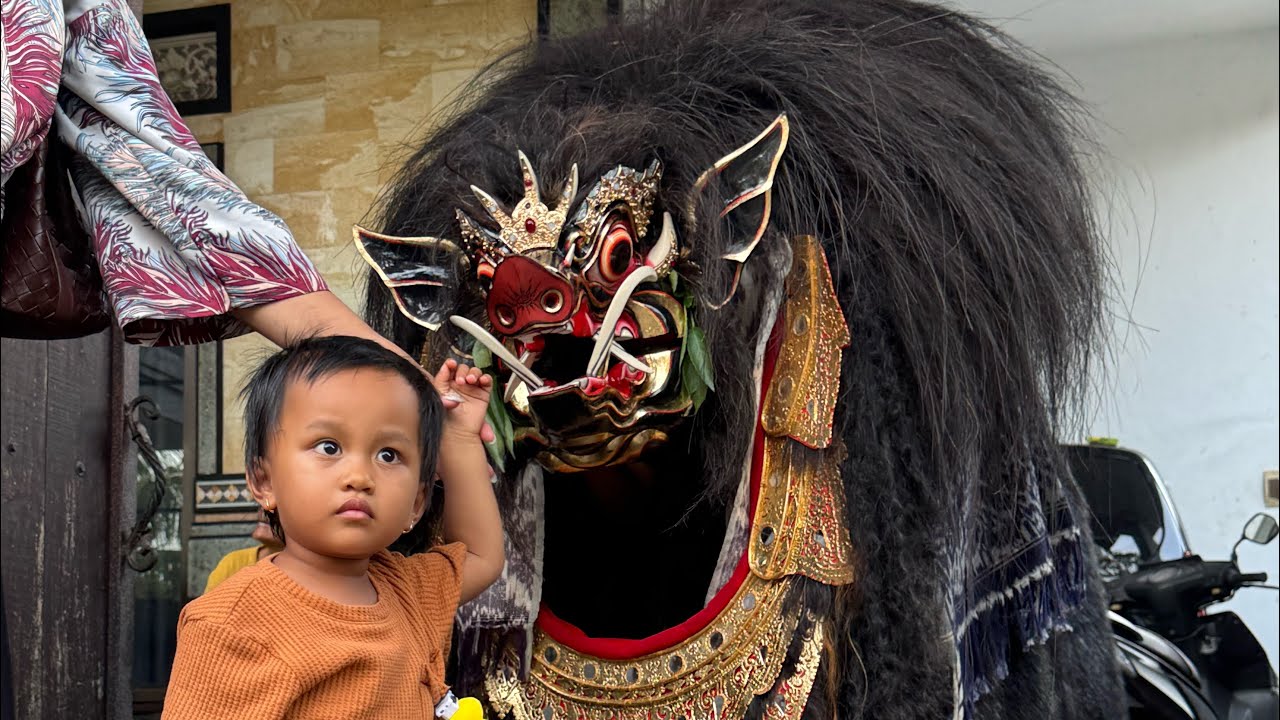 barong bangkung samuan, sampai masuk rumah