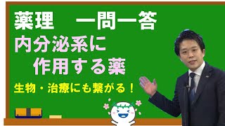 国試前！内分泌系の薬をGo講師と最終確認！